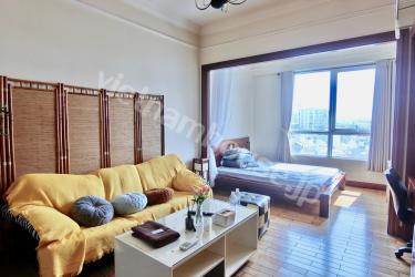 The Manor 2 has an enjoyable studio apartment