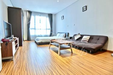 Finest luxury studio only existed in District 1