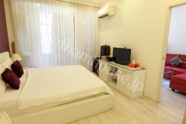 Serviced apartment not pretty far from Saigon Opera House